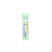 Calcarea Carbonica Ostrearum 5Ch gr 4G Boiron - Detail 1