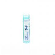 Thuya Occidentalis 200K gr 4G Boiron - Detail 1