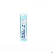 Conium Maculatum 30K gr 4G Boiron - Detail 1