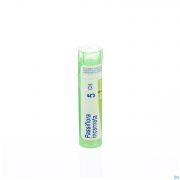 Boiron Unda granules Passiflora Incarnata 5 Ch - Vue détail 1