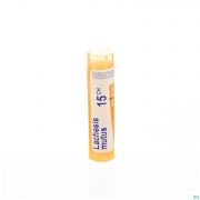 Lachesis Mutus 15Ch gr 4G Boiron - Detail 1