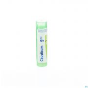 Causticum Hahnemanni 5Ch gr 4G Boiron - Detail 1