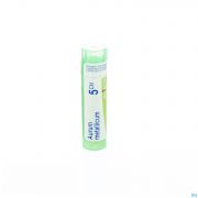 Aurum Metallicum 5Ch gr 4G Boiron - Detail 1