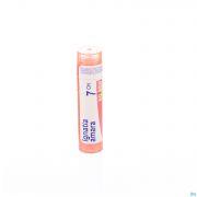 Ignatia Amara 7Ch gr 4G Boiron - Detail 1