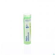Kalium Carbonicum 5Ch gr 4G Boiron - Detail 1