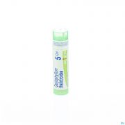 Boiron Unda granules Caulophyllum Thalictroides 5 Ch - Vue détail 1