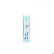 Rumex Crispus 30K gr 4G Boiron - Detail 1