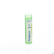 Pyrogenium 5Ch gr 4G Boiron - Detail 1