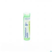 Phosphoricum Acidum 5Ch gr 4G Boiron - Detail 1