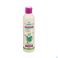 Puressentiel Anti-luizen Poudoux Shampoo Bio 200ml