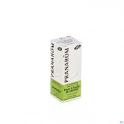 Pranarom Huile Essentielle De Thym Satureioide Bio 10 ml - Vue détail 1