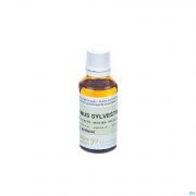 Pranarom Huile Essentielle De Pin Sylvestre 30 ml - Vue détail 1