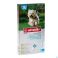 Bayer Advantix 100/500 Chien 4 10 kg 6 X 1 ml - Vue détail 1