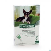 Bayer Advantage 40 Honden Tot 4Kg 4X0,4Ml - Detail 1