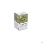 Marma Pycnogenol Caps 90 - Detail 1
