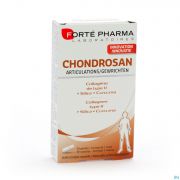 Fortepharma Chondrosan Articulation 30 gelules - Vue détail 1
