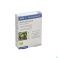 Pileje Phytostandard Artichaut 20 Capsules - Vue détail 1