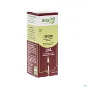 Herbalgem Charme Macerat 50 ml - Vue détail 1