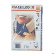 Cameleone Minerve Gris M 1 Q05001