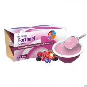 Fortimel Creme Bosvruchten 4X125G