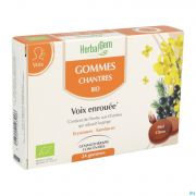 Herbalgem Chantre Bio gommes (24)
