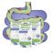 Biocodex Alflorex+ Dual Action Capsules (30) - Utilisation 3