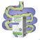 Biocodex Alflorex+ Symbiosys Dual Action Caps 30 - Gebruik 1