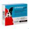 Anthelmex Forte Chien 2 Comprimes A Croquer