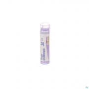 Boiron Unda granules Thuya Occidentalis 30 Ch - Vue détail 1