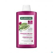 Klorane Shampoing Figuier De Barbarie 400 ml - Produit 1