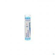 Kalium Carbonicum 9Ch gr 4G Boiron - Detail 1