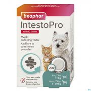 Beaphar Intesto Pro Hond-Kat S Comp 20