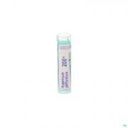 Hypericum Perforatum 200K gr 4G Boiron - Detail 1