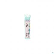 Ledum Palustre 9ch Gr 4g Boiron