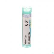 Arnica Montana 06ch Gr 4g Boiron