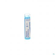 Magnesia Phosphorica 9Ch gr 4G Boiron - Detail 1