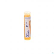 Sepia Officinalis 15Ch gr 4G Boiron - Detail 1