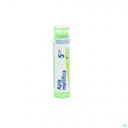 Apis Mellifica 5Ch gr 4G Boiron - Detail 1