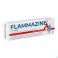 Biocodex Flammazine Creme 1% Tube 50 g