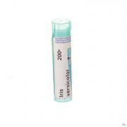 Iris Versicolor 200k Gr 4g Boiron