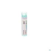 Boiron Unda granules China Succirubra 4 Ch - Vue détail 1
