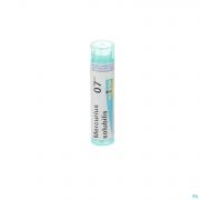 Mercurius Solubilis 7Ch gr 4G Boiron - Detail 1