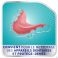 Corega Pro Protege Dents 30 Comprimes - Utilisation 1