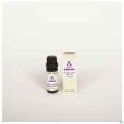 Sjankara Cèdre Himalaya Huile Essentielle 11 ml - Produit 1