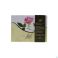 Bachflowers Bach Flower Remedie Set Compl. Doos Karton 40X10Ml