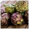 Bioholistic Diffusion Ramenas + Artisjok Amp 20 - Gebruik 2