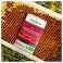 Koninginnenbrij Bio Pot 25G Fitoform - Gebruik 2