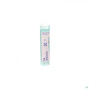 Boiron Unda granules Iris Versicolor 30 K 4 g - Vue détail 1