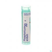 Boiron Unda granules Phosphoricum Acidum 30 K 4 g - Vue détail 1