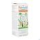 Puressentiel Eucalyptus Radie Hle Ess Bio 30ml